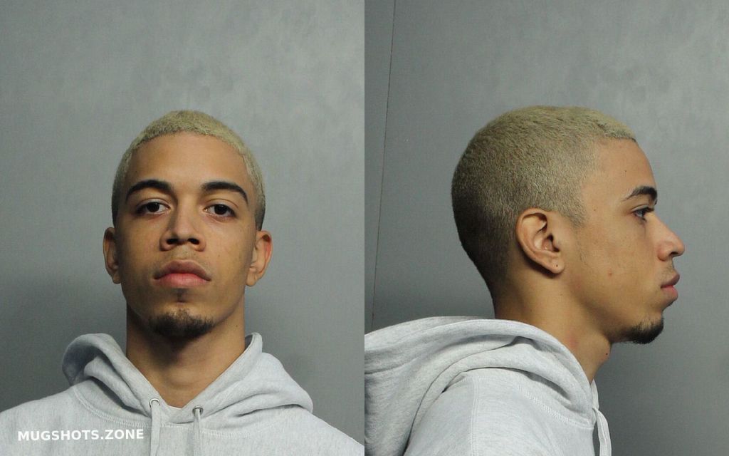 WILLIAMS ANDRE R 06/15/2021 - Miami-Dade County Mugshots Zone