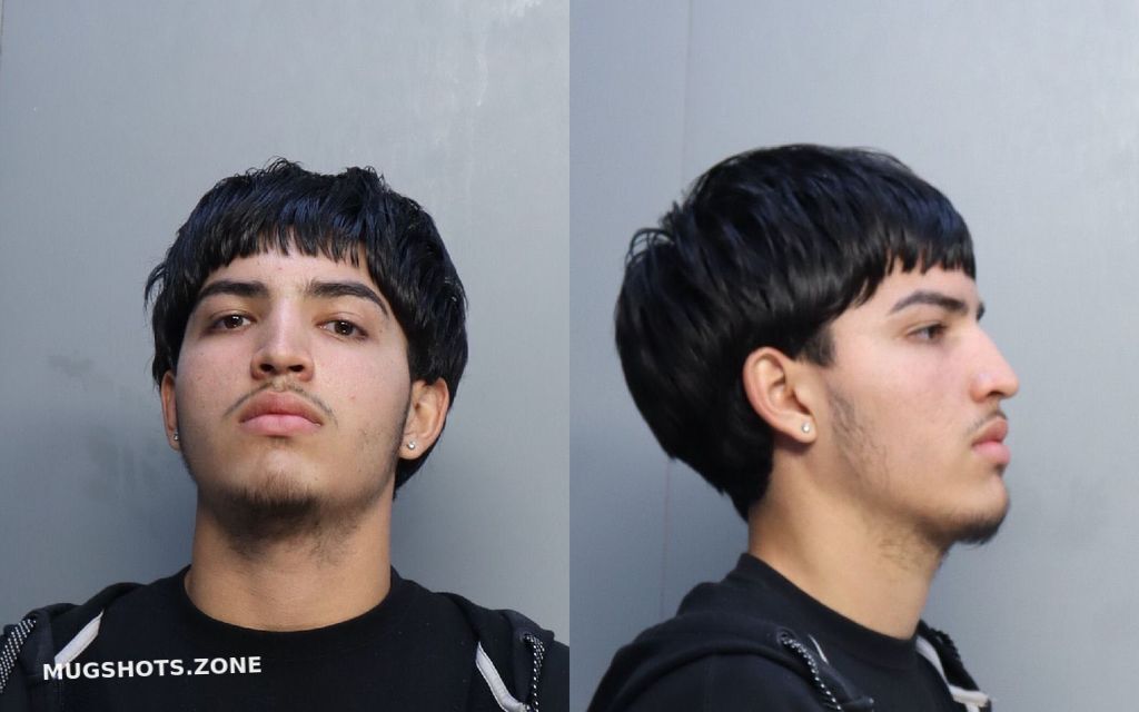 RUIZPELLON GIOVANNI 11/08/2021 - Miami-Dade County Mugshots Zone