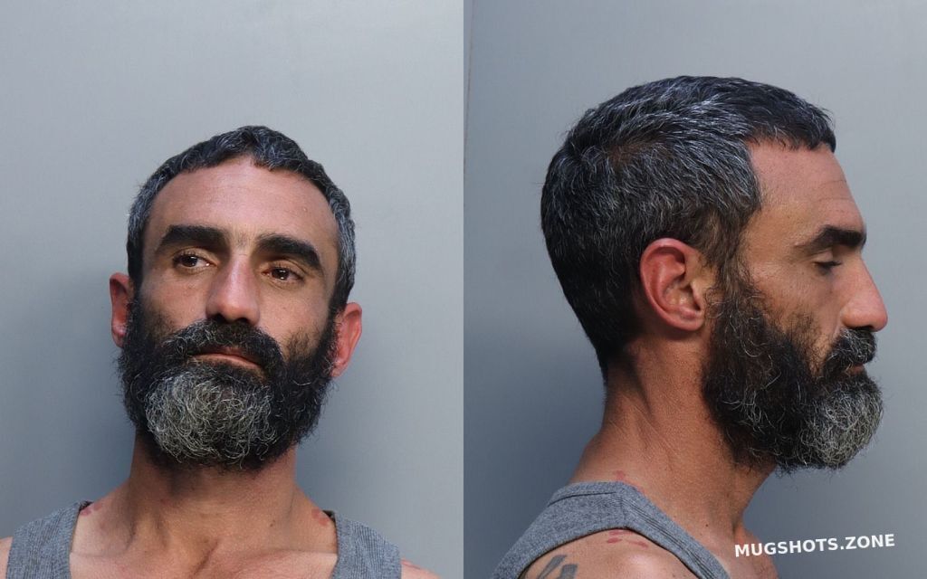 SOLANO ALEXANDER 11/25/2021 MiamiDade County Mugshots Zone
