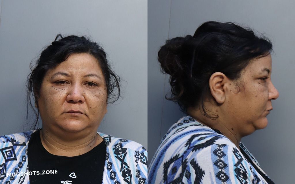 REYESMARTINEZ MABEL 12/09/2021 - Miami-Dade County Mugshots Zone