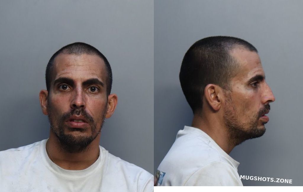 Castillo Benny 02 01 2022 - Miami-dade County Mugshots Zone