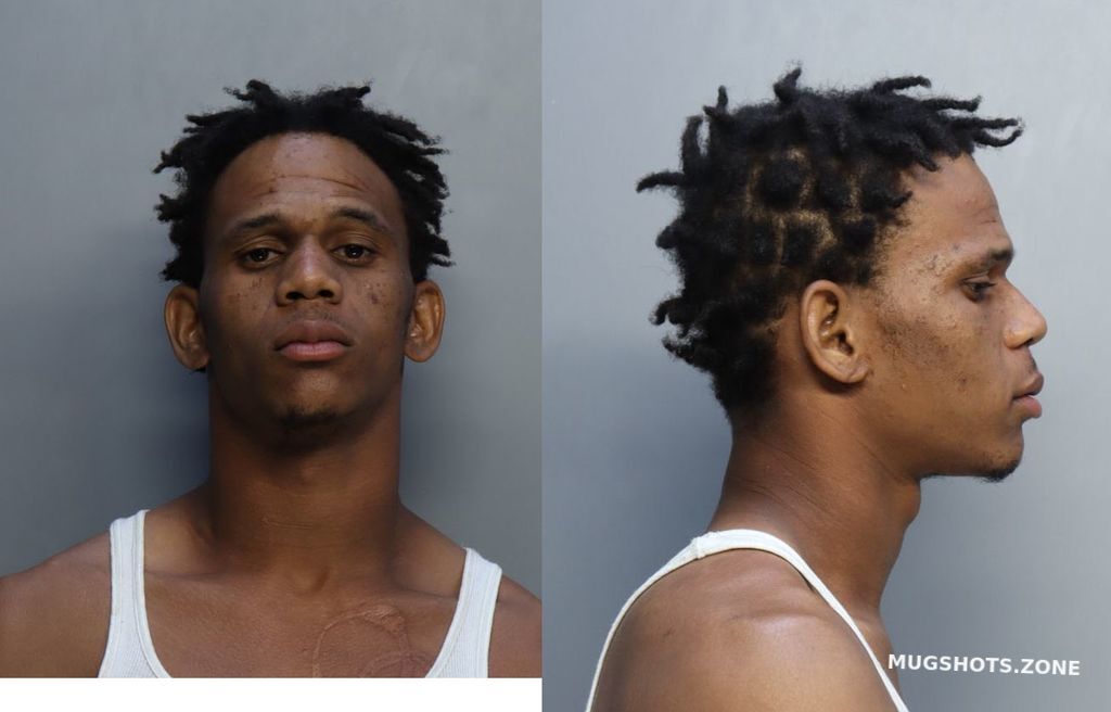 Lundy Dvante Ari 03 09 2022 Miami Dade County Mugshots Zone