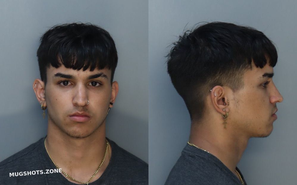 SANCHEZ-PINO YANLUIS O 03/11/2022 - Miami-Dade County Mugshots Zone