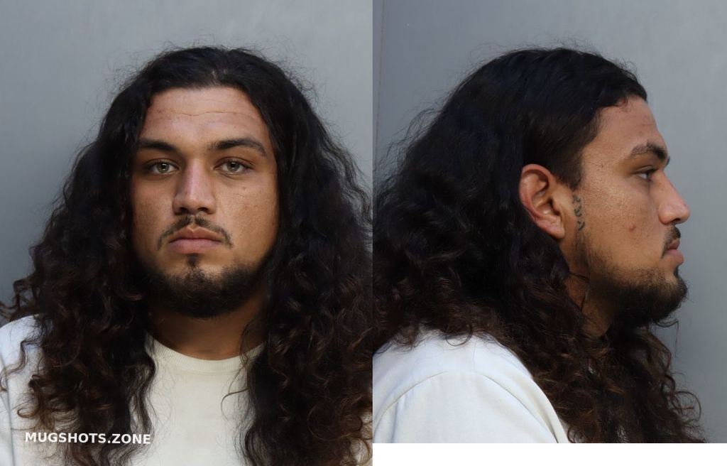 NAVARRO MICHAEL 03/12/2022 MiamiDade County Mugshots Zone