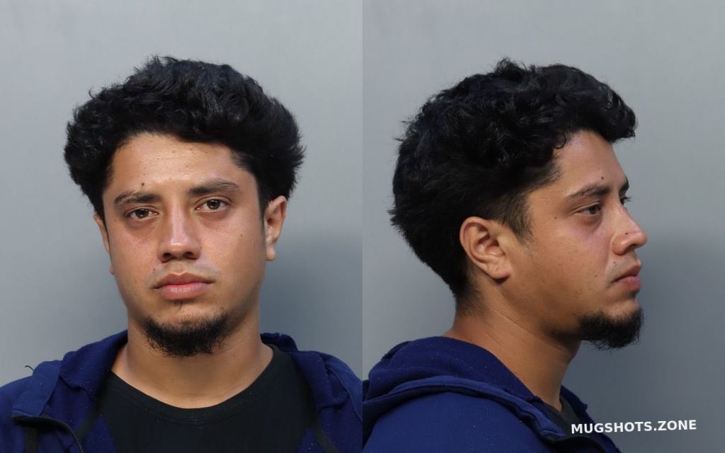 ALFARO MANNY 03/24/2022 - Miami-Dade County Mugshots Zone