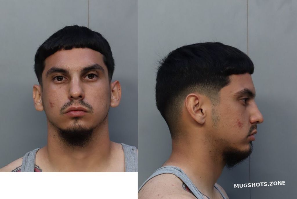 ROCHE DANIEL ADRIAN 03/25/2022 - Miami-Dade County Mugshots Zone