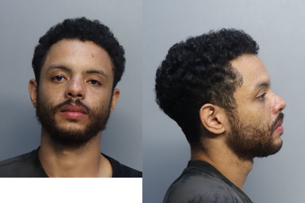 Mcgill Cameron 04 13 2022 Miami Dade County Mugshots Zone