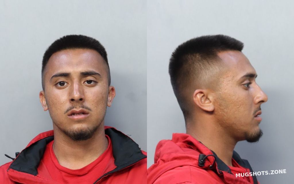 VINAS ALAIN DANIEL 04/18/2022 - Miami-Dade County Mugshots Zone