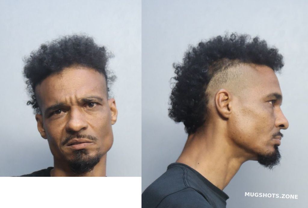 ROBINSON DAMIEN RODERICK 04/19/2022 MiamiDade County Mugshots Zone