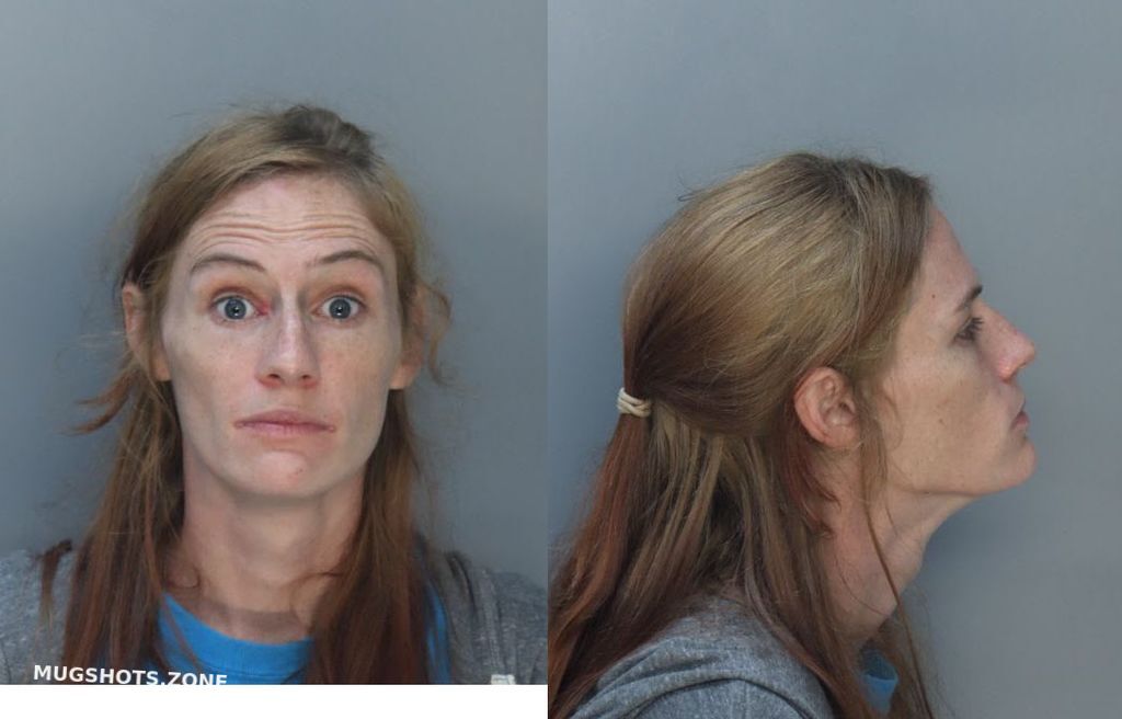 KING ASHLEY ANN 06/01/2022 MiamiDade County Mugshots Zone