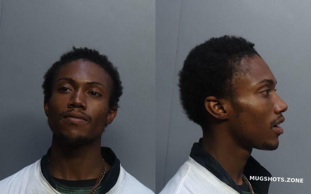 BROWN AMOY 06/10/2022 - Miami-Dade County Mugshots Zone