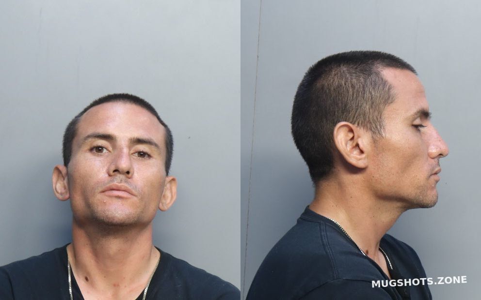 MENDIOLA RENATO 06/13/2022 - Miami-Dade County Mugshots Zone