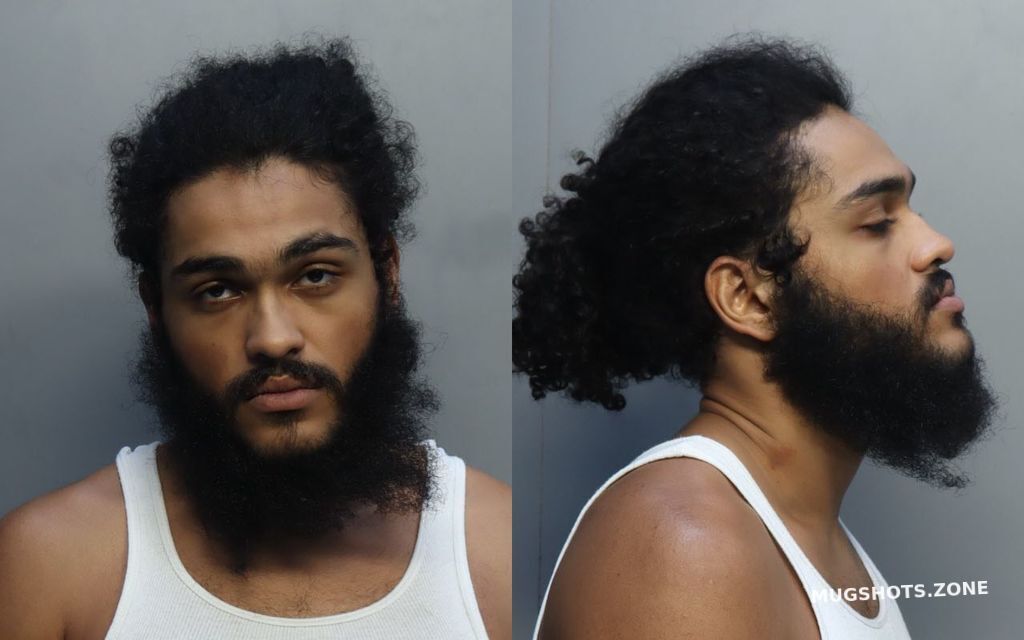 PATTERSON ALEXANDER ERIC 08/08/2022 MiamiDade County Mugshots Zone