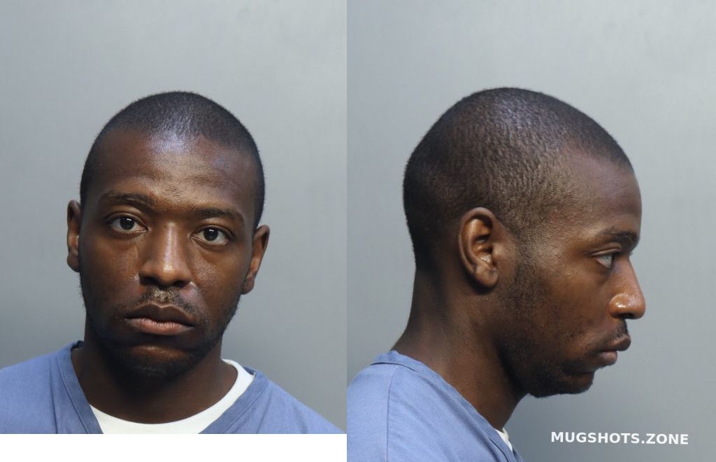 HUDSON MARQUISE S 08/11/2022 - Miami-Dade County Mugshots Zone