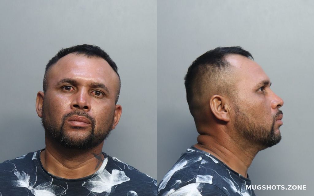 MEJIALOPEZ WILMER YOEL 08/31/2022 Mugshot, Miami Dade County, Florida