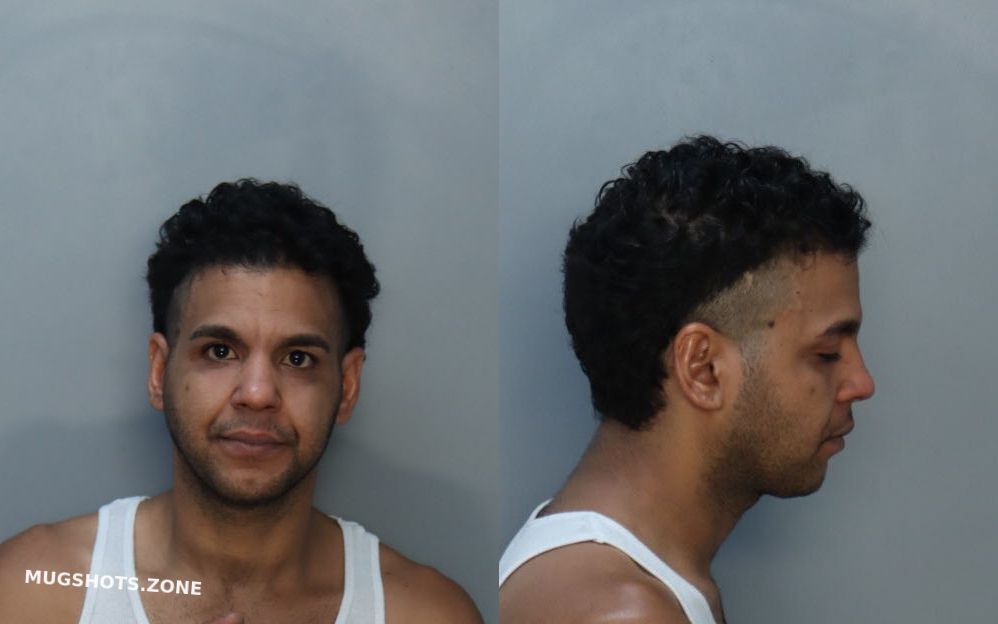 Sanchez Raydel Miami Dade County Mugshots Zone