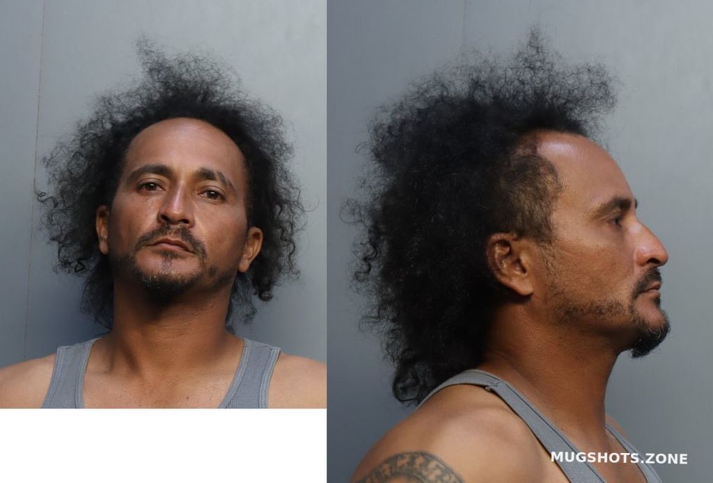 Lai Adrian Austin 10052022 Miami Dade County Mugshots Zone 1988