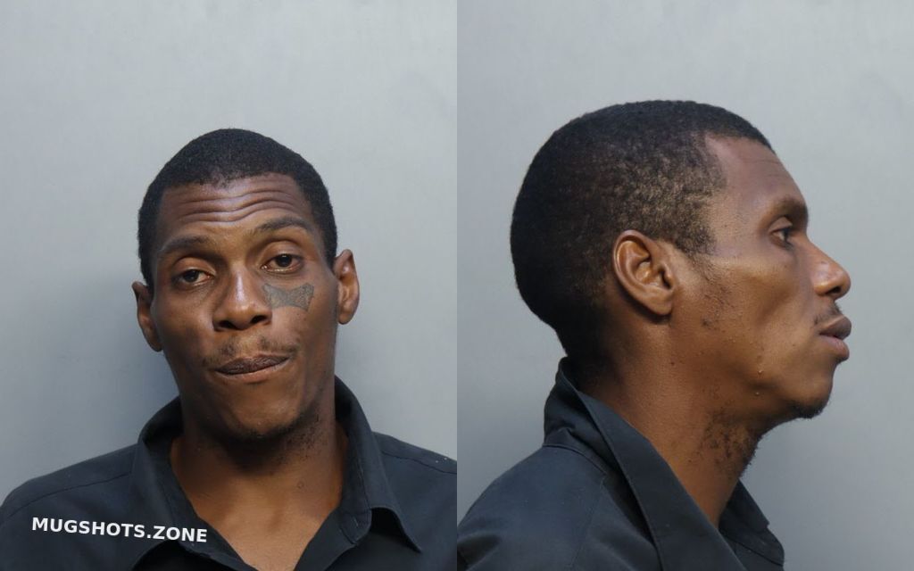 LAWYER RYAN 10/18/2022 MiamiDade County Mugshots Zone(01)
