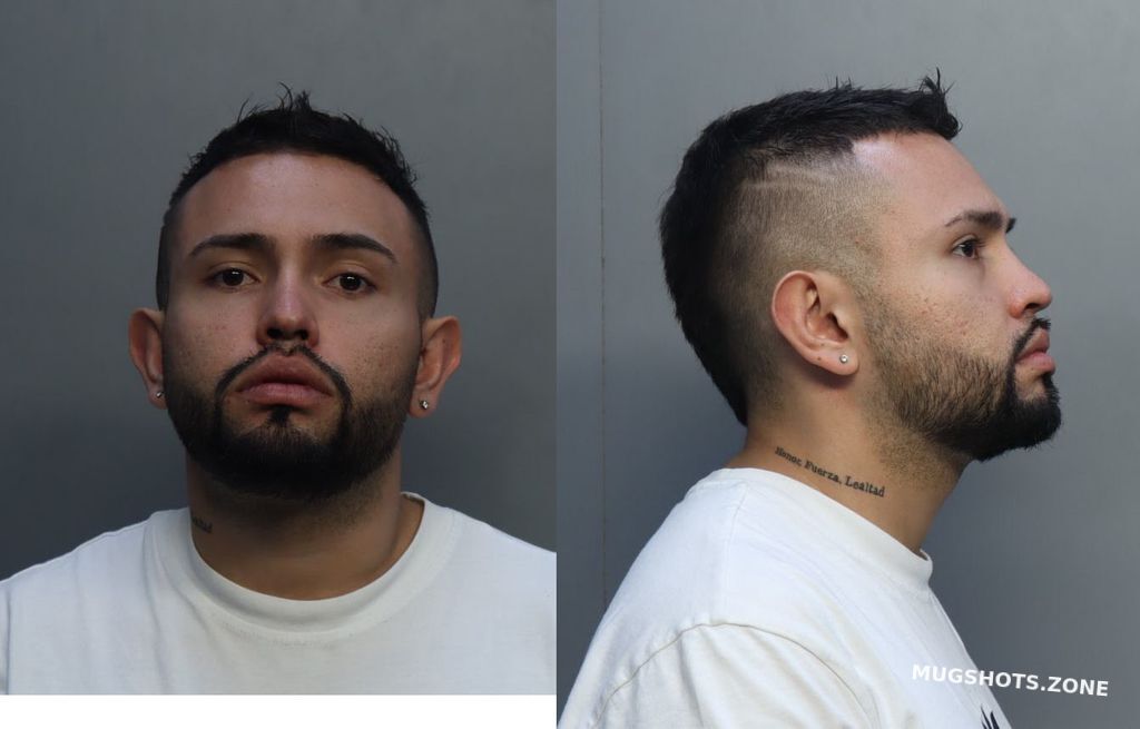 Villamizarvargas Diego Esteban 10 18 2022 Miami Dade County Mugshots Zone