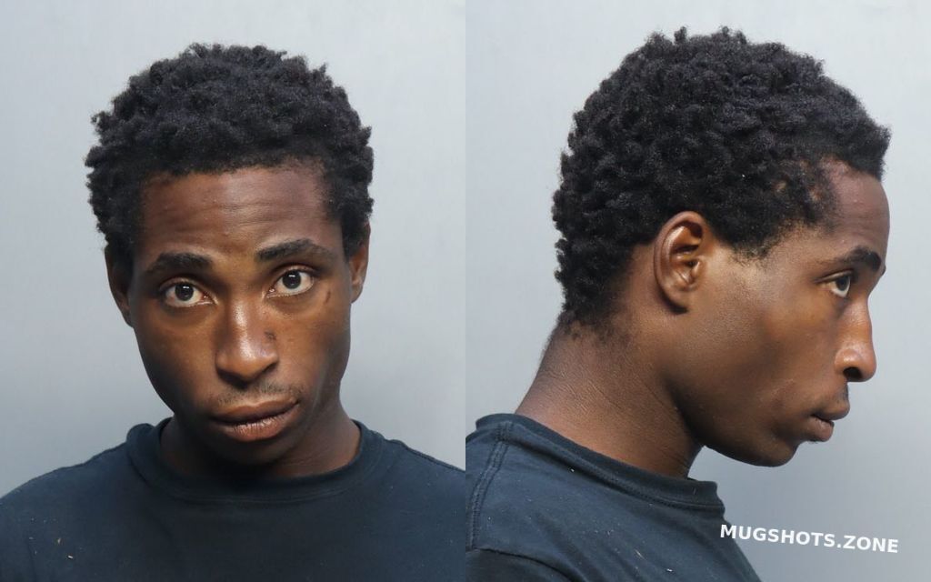 ALLEYNE DAVID VINCENT 10/22/2022 - Miami-Dade County Mugshots Zone