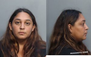 ARTEAGA DELMYS ANGELICA 10/25/2022 - Miami-Dade County Mugshots Zone