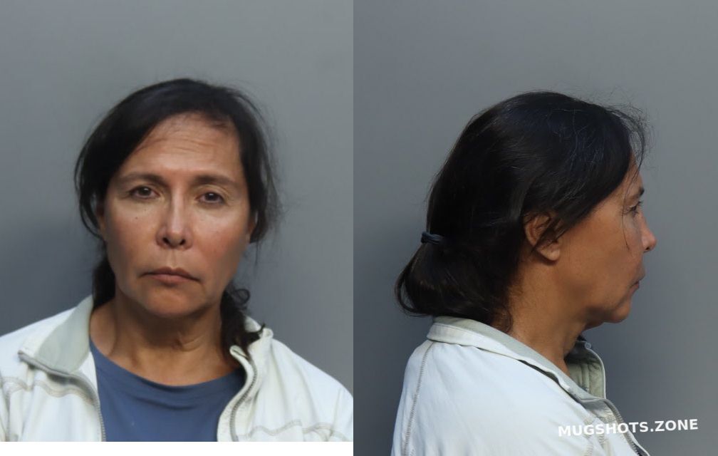 MENDEZ LILIANA 11/08/2022 - Miami-Dade County Mugshots Zone