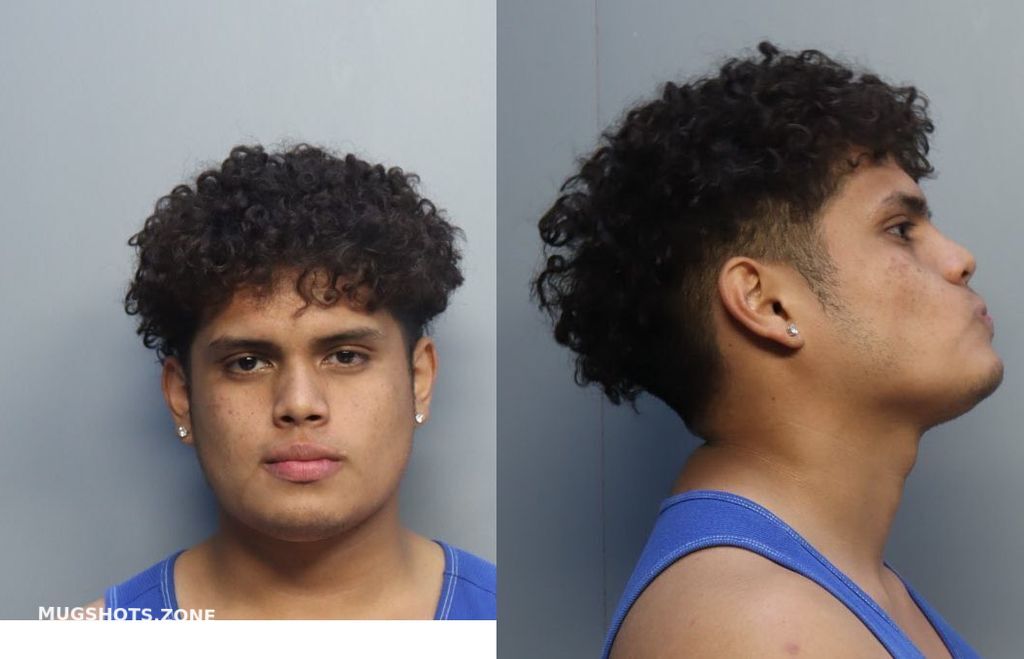 CASTELLANOS FABRIZO N 11/08/2022 - Miami-Dade County Mugshots Zone