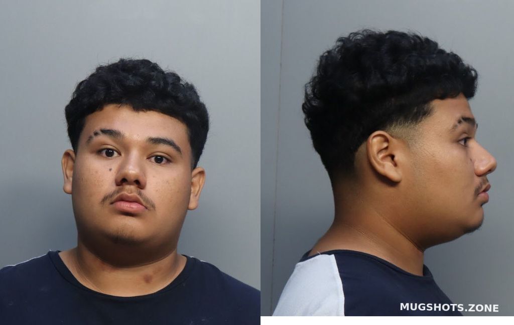 SAGASTUME JOHVAN 11/13/2022 - Miami-Dade County Mugshots Zone