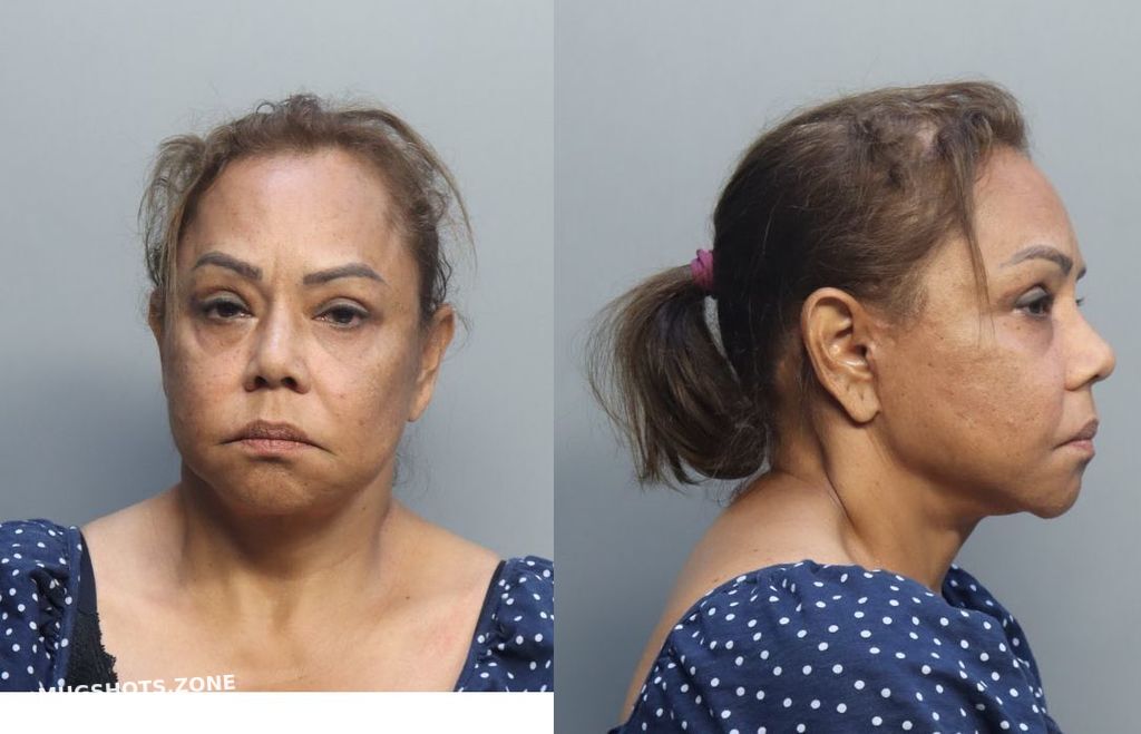 PENA XENIA 11/14/2022 MiamiDade County Mugshots Zone