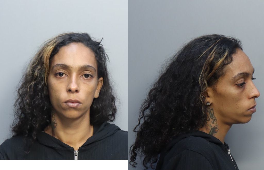 ECHAVARRIA YONELIS 11/19/2022 MiamiDade County Mugshots Zone