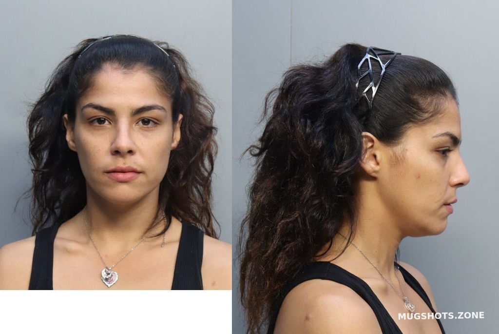 picon-dymariz-11-20-2022-miami-dade-county-mugshots-zone