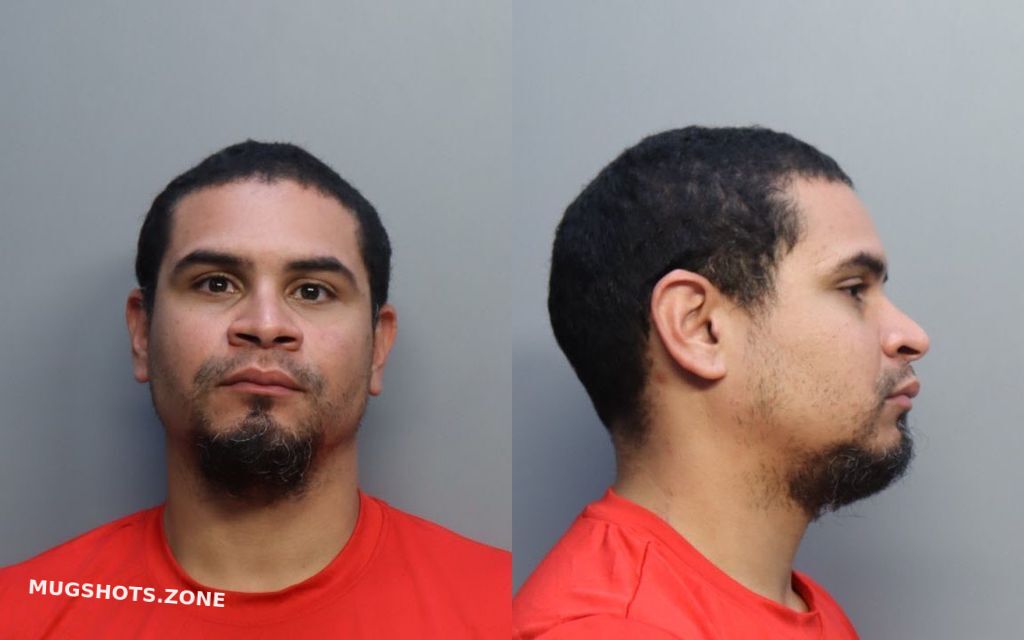 ARAUZ MICHAEL A 11/23/2022 - Miami-Dade County Mugshots Zone