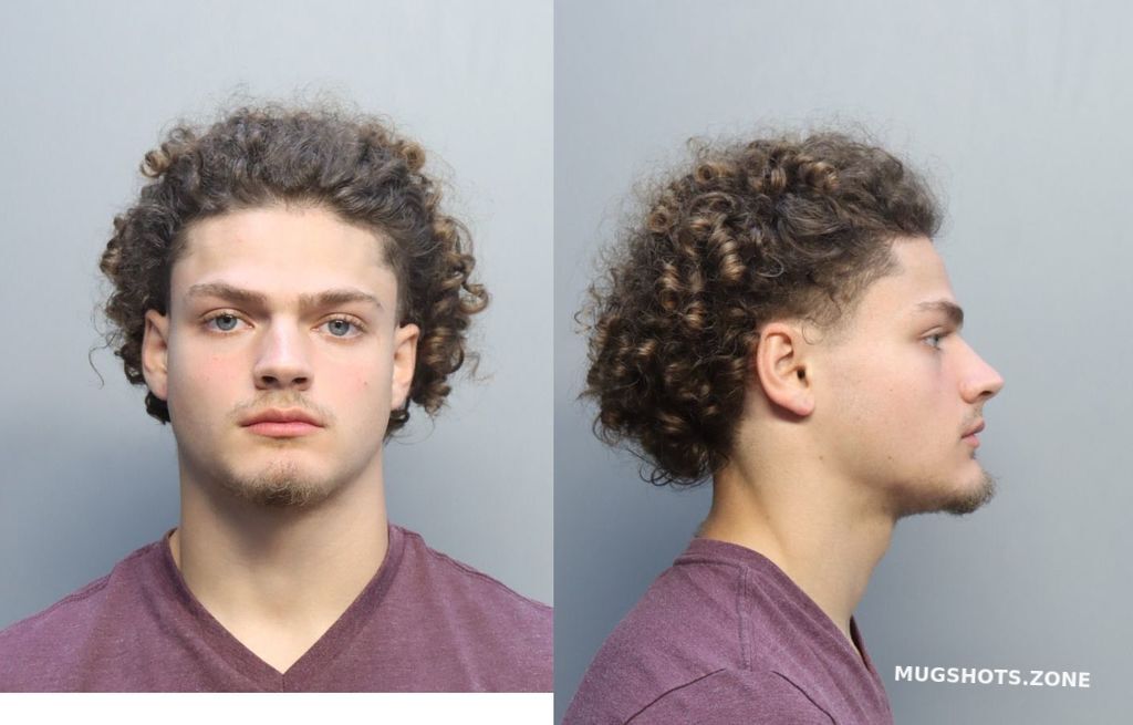 FERNANDEZ ALEX 11/28/2022 MiamiDade County Mugshots Zone