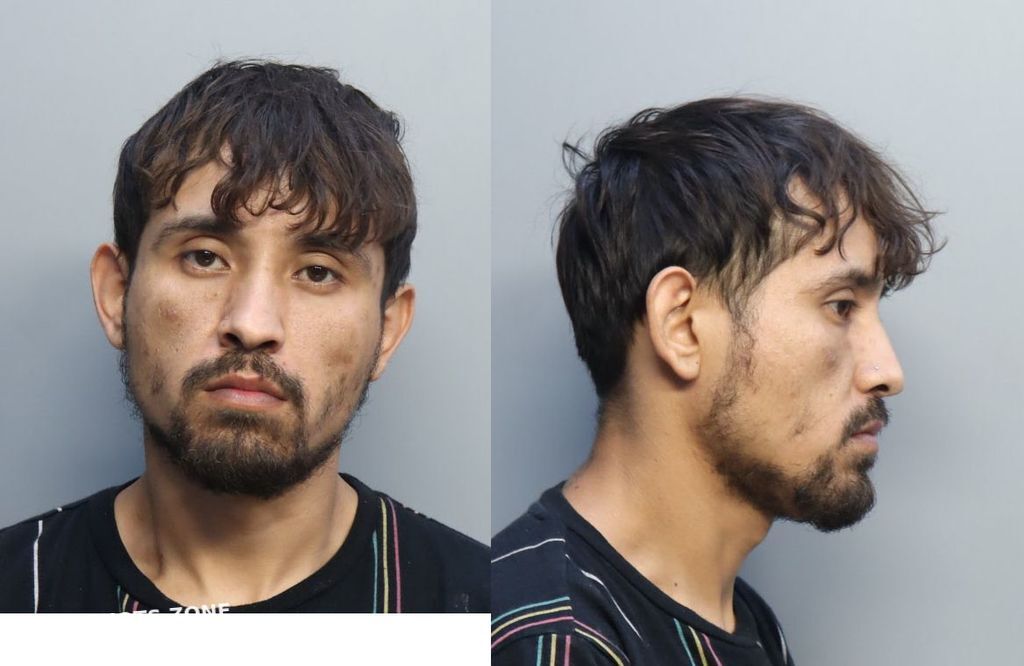 Alaniz David 12 03 2022 Miami Dade County Mugshots Zone