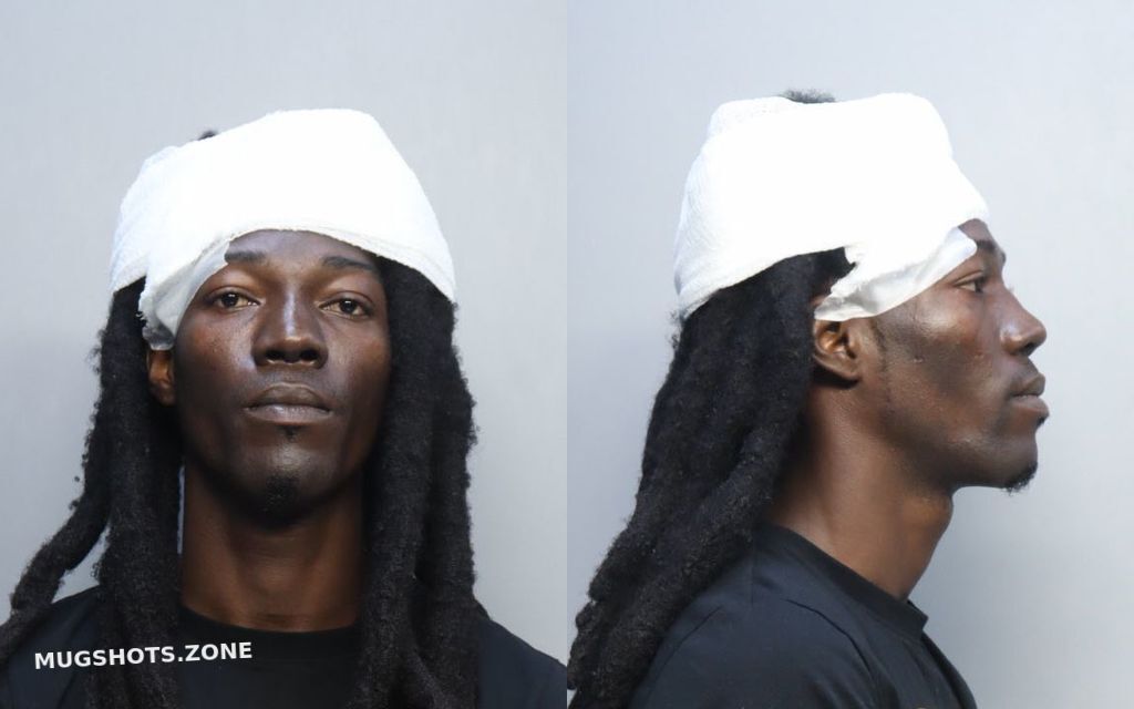 JEAN WING 12/15/2022 MiamiDade County Mugshots Zone