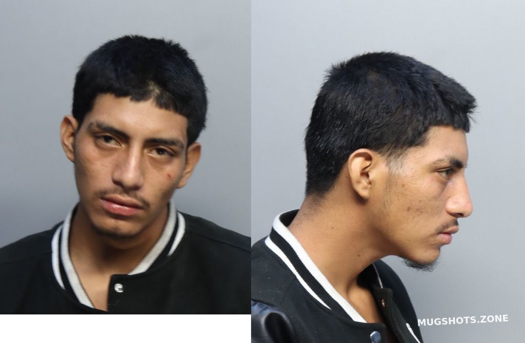 Mendez Manuel Adonias 12 29 2022 - Miami-dade County Mugshots Zone