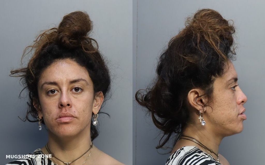 ROJAS ALIN 01/11/2023 - Miami-Dade County Mugshots Zone