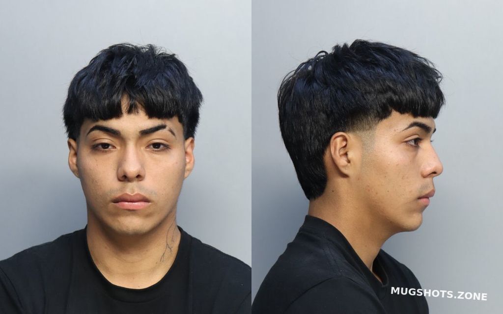 Cortes Elias Josue 02 03 2023 - Miami-dade County Mugshots Zone