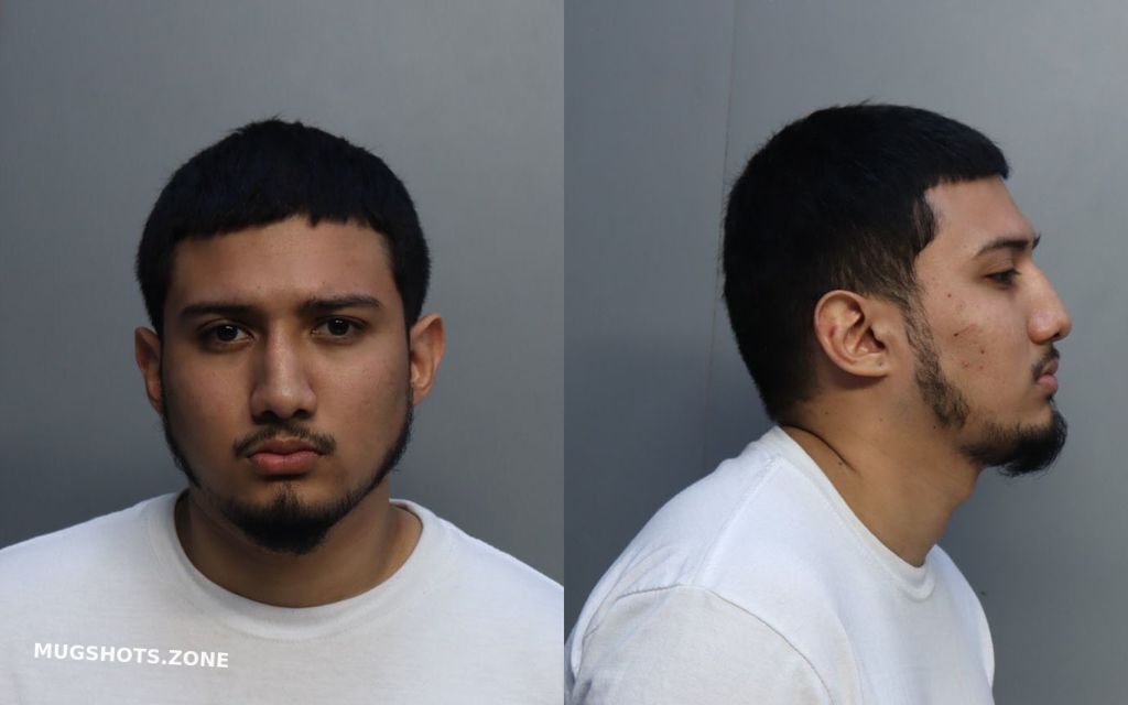 MEJILLA ELIAN ANTONIO 02/04/2023 - Miami-Dade County Mugshots Zone