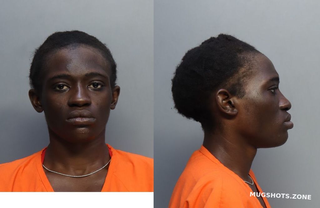 THOMAS JEAN ELNORA 02/17/2023 MiamiDade County Mugshots Zone