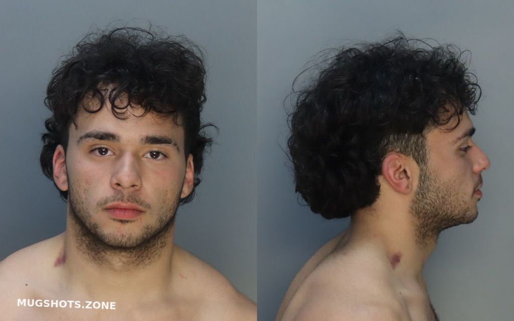 BARRIOS LUIS MARCEL 02/20/2023 MiamiDade County Mugshots Zone