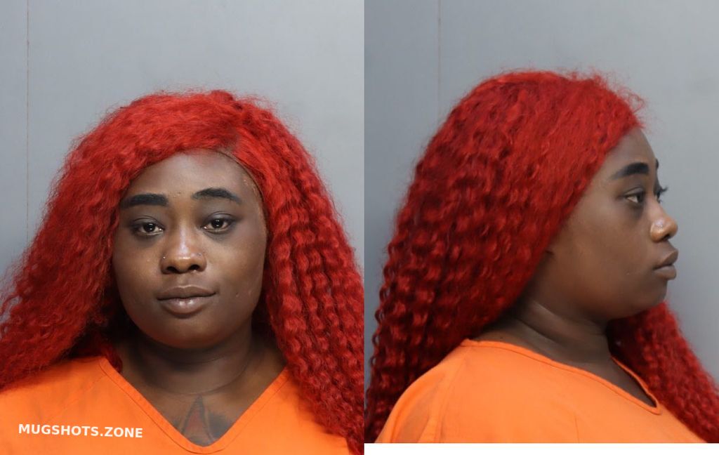 Bailey Ronisha 02282023 Miami Dade County Mugshots Zone 9683