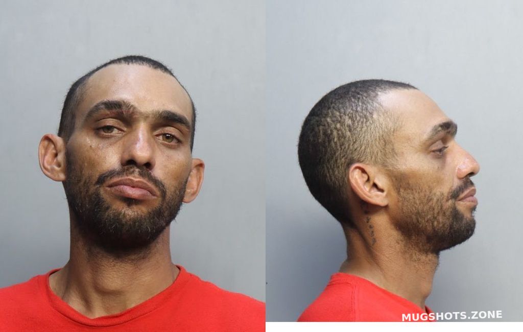 More Vega Yasmany 04072023 Miami Dade County Mugshots Zone 1667