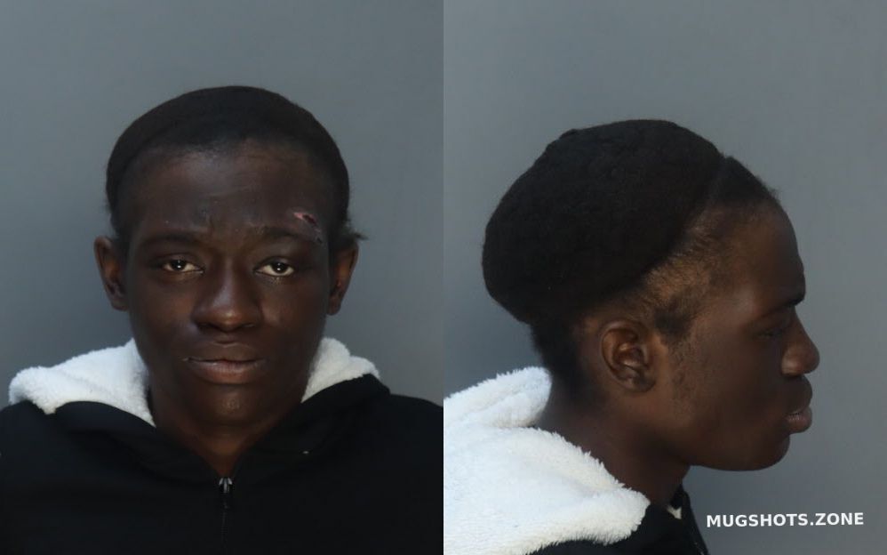 THOMAS JEAN ELNORA 04/19/2023 MiamiDade County Mugshots Zone