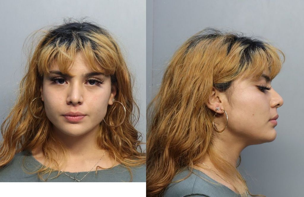 MIRANDA ANDREA CAROLINA 04/22/2023 MiamiDade County Mugshots Zone