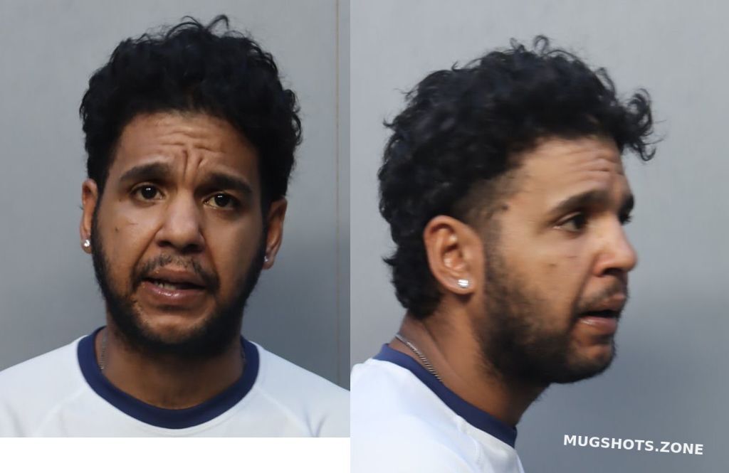 Sanchez Raydel Miami Dade County Mugshots Zone