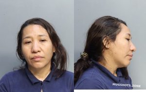 JUAREZ DELIA MARIBEL 05/15/2023 - Miami-Dade County Mugshots Zone