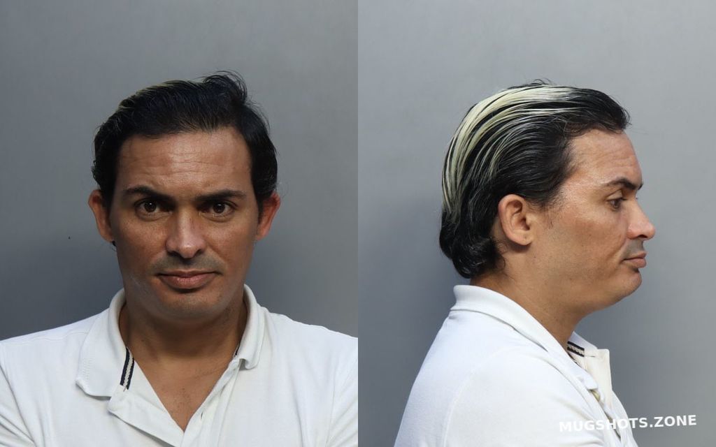 Perez Damian 05302023 Miami Dade County Mugshots Zone 3520