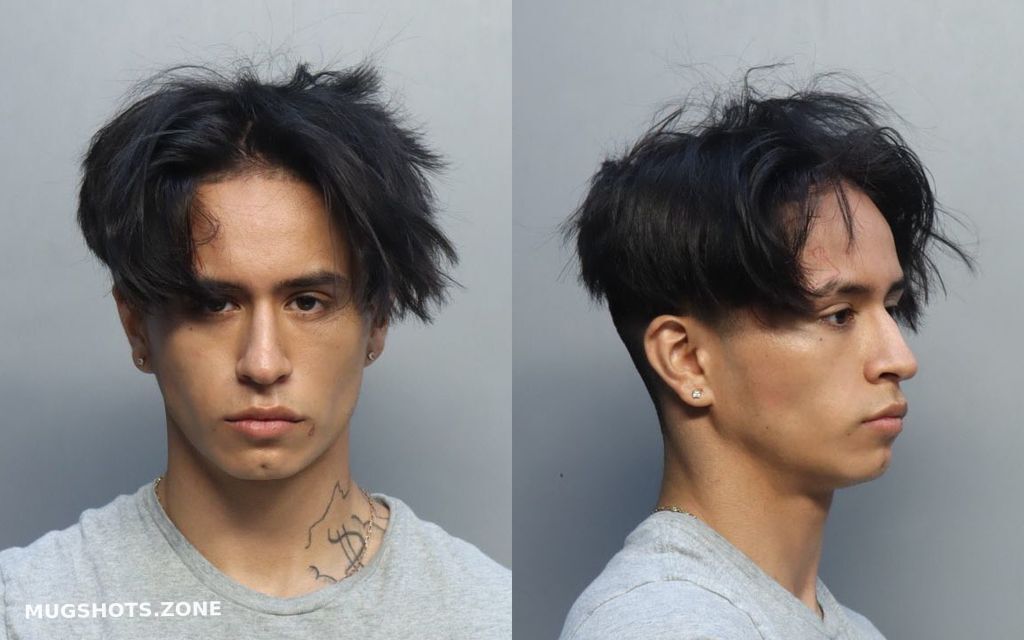 TOLEDO SEBASTIAN 05/30/2023 MiamiDade County Mugshots Zone