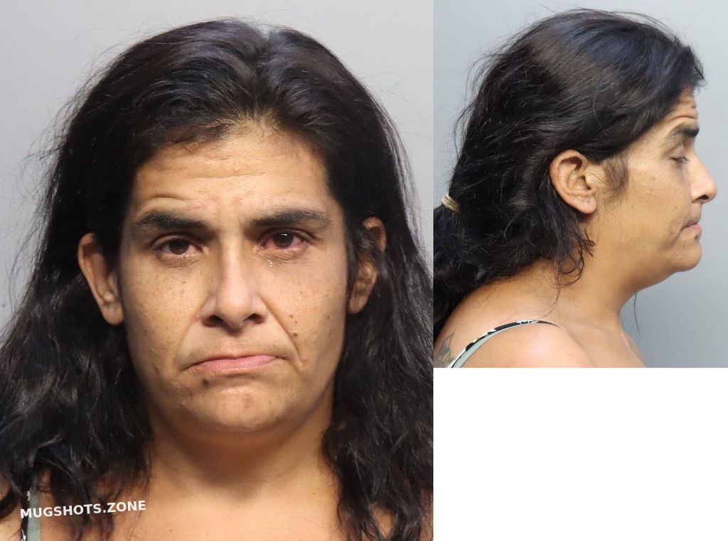 Martinez Michelle 08 19 2023 Miami Dade County Mugshots Zone